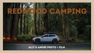 Camping in the Redwoods out of a Subaru Crosstrek