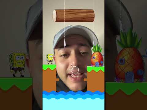أهلا بكم في قاع الهامور  اكسبلور 
