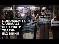 Мітинг у бомбосховищі: UAnimals запрошує на Марш порятунку тварин від війни