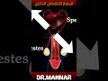 الجهاز التناسلي الذكري فيديو تعليمي   نصائح