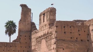 Experts look into damage of historical monuments in Marrakech after quake