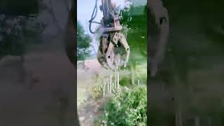 The process of clearing branches = good machinery increases efficiency