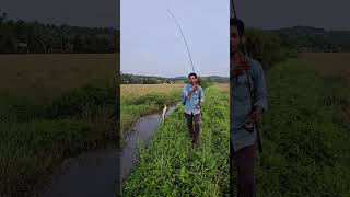 VILLAGE FISHING 💥🦈#fishingshop #villagefishing #traditionalfishing