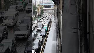 The Long Line 🫩🫪🥴🚦⛔