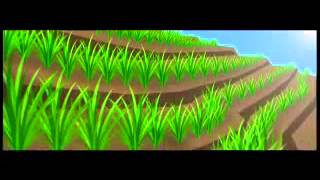 Le Vétiver Pour La Conservation Du Sol Et De Leau Dessin Animé