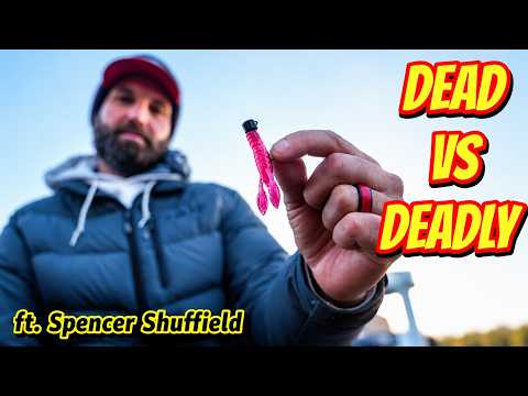 Why Bass Quit Biting Your Best Baits