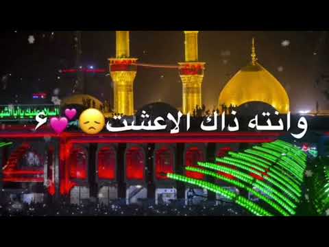 يابو فاضل طيحت ايدك مو وكتها حالات واتس اب