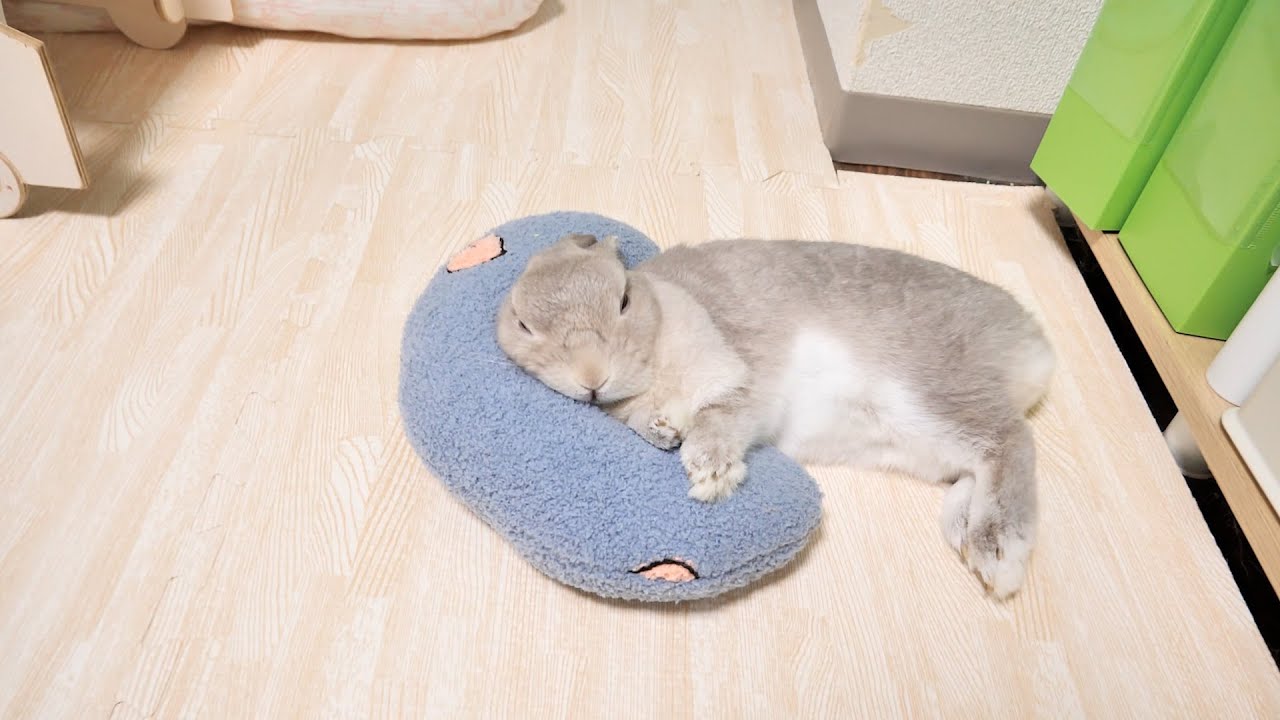 8-26「おだやかな日」 8-25「すずらんとうさぎ」おまとめ2点 少し目を離すとすぐに”ウサギ”であることを辞めてしまうウサギさん