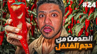 اكبر حبة فلفل شفتها بحياتي 🤯🌶️!! #24