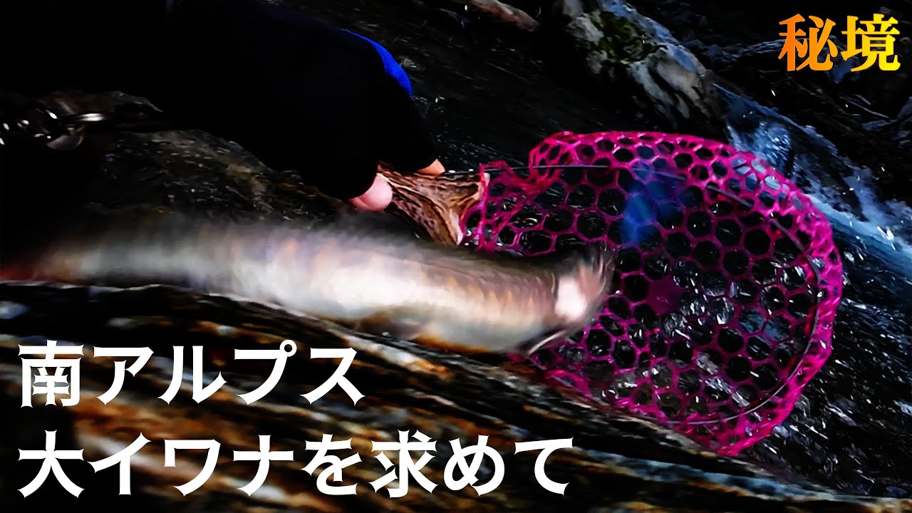 【渓流釣り】下伊那漁協の秘境 南アルプスに潜む大イワナを求めて