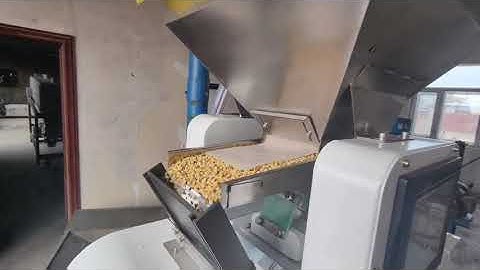 RealTech Mini Color Sorter Machine S32 for Soybean Sorting