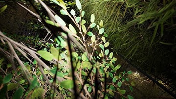 Session: Skate Sim Hubba Hideout line