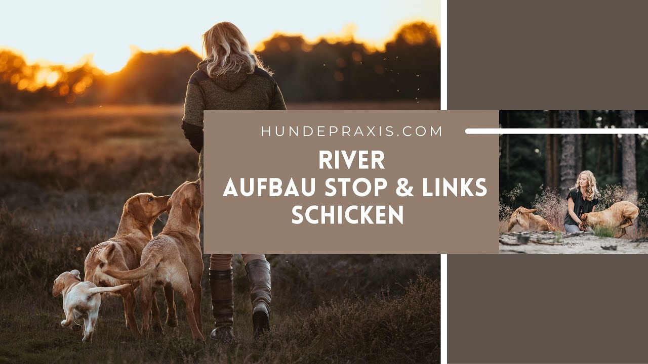 Stopp und Einweisen kombinieren