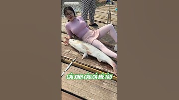 gái xinh có tâm hồn to và đẹp câu được con cá mè to và cái kết  #fishing #cauca#short