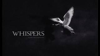 bulletrain, skyfall beats - whispers (music video)