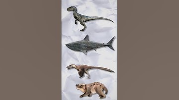 dinosaurs are still alive...