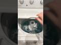Ocean water in a Whirlpool top load Washer!