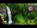 Relaxing celtic music  waterfall white noise fantasy music celtic harp enchanted peaceful bgm