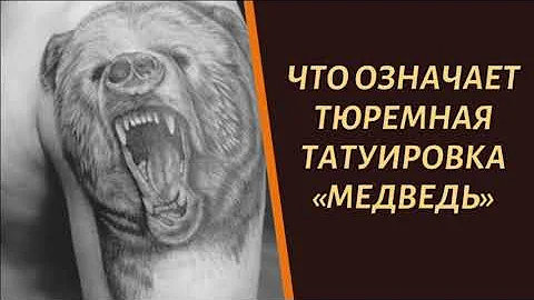 Что означает тюремная тату медведь и почему ее иногда накалывают воры?