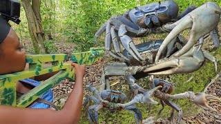 Jamaica Crab Season 2024, AMAZING And UNUSUAL Crab Hunting!!! Hunt Ñ Cook