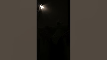 سورة الجن | ماجد العقل ليلة ٢٩ رمضان 🌙 ١٤٤٦هـ
