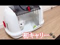 子猫の初キャリーケース