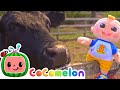 Old MacDonald with REAL Animals | Toy Play | CoComelon Kids Songs &amp; Nursery Rhymes