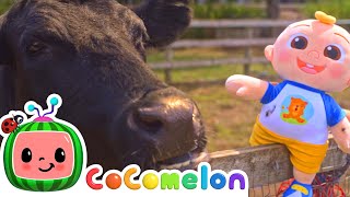 Old Macdonald With Real Animals | Toy Play | Cocomelon Kids Songs & Nursery Rhymes