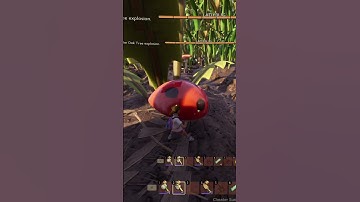 Ladybug coming through - Grounded | @Astho48 @IronBikerGaming