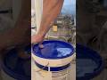 Как размешать шпаклевку #shortvideo #ремонт #вседляремонта #юмор
