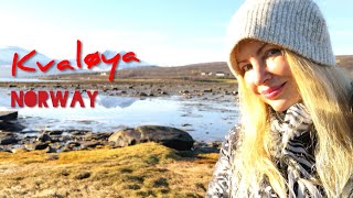 Adeyto @ 9000 years ANCIENT SAMI Tribe Carvings KVALØYA Island NORWAY 📽️ HUAWEI P20 PRO