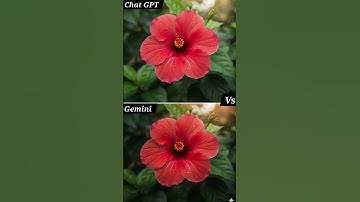 “Which one looks more real? 🤔”#AIvsAI #ChatGPT #Gemini #AIart #trendingreels