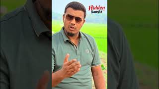 ট্রোজান হর্সের গল্প: ১০ বছরে না পারা যুদ্ধ জিতল এক রাতে | Trojan Horse Explained + Islamic Lesson