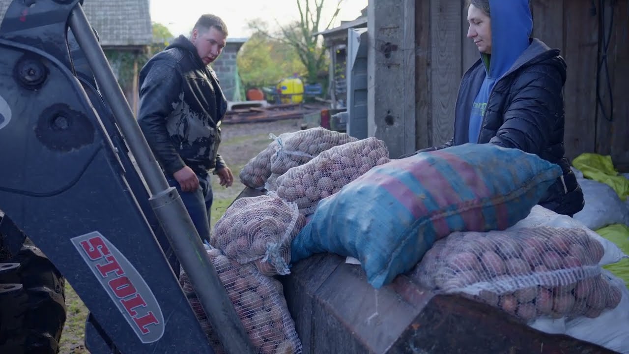 W Borowskich Ciborach wykopki skończone przygotowanie ziemniaków do zimowania Rolnicy z Podlasia