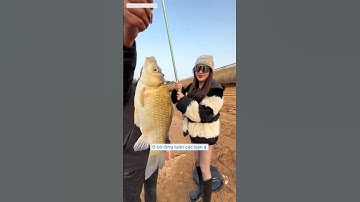 anh cần thủ tự sưng là cao thủ câu cá lừa em gái xinh đi câu cá chem chép và cái kết #fishing #short