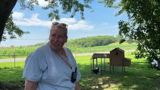 A Few Minutes on the Homestead- 15 July 2023 by Happy Wife Acres 239 views 9 months ago 4 minutes, 56 seconds