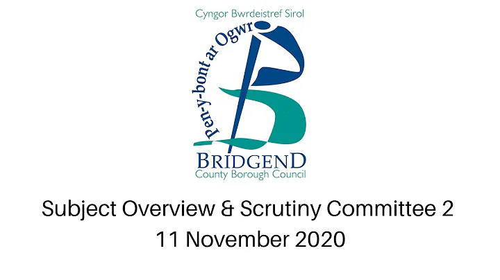 Subject Overview & Scrutiny Committee 2 - 11 November 2020