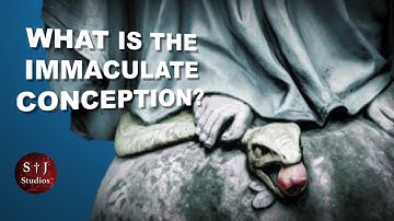 What is the Immaculate Conception? #blessedvirginmary #immaculateconception