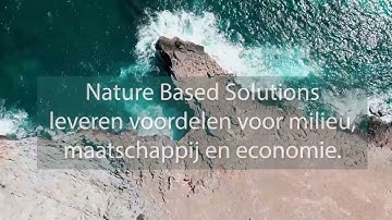 Officiële NATALIE video - Subtitles Dutch