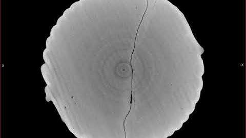 XY view of 3D printed cement paste solid Bouligand architecture 8° pitch angle in Micro-CT