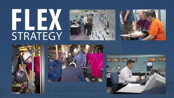 Ensuring Safety -  FLEX Strategy