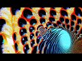 Neural Trip III - An AI Fractal Zoom (4k 60fps)