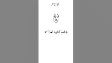 سورة البلد || بصوت أحمد العجمي  #quran #قرآن