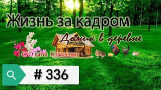 Жизнь за кадром # 336. Обзор орхидей!