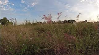 video cinematic tanpa musik, Video sinematik #1