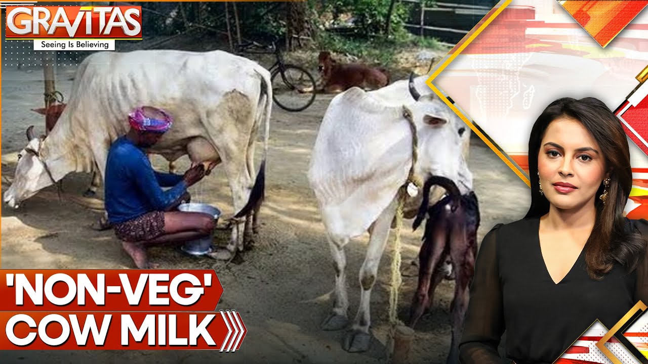 'Non-Veg' Milk in Focus Amid Trade Talks | GRAVITAS