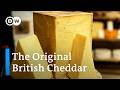 How traditional british cheddar is made in somerset