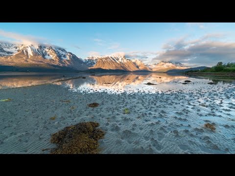 Arctic Summer