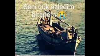 Sorar Seni Ararım (Selda Bağcan)