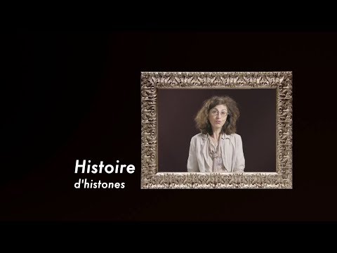 Les entretiens de M/S : Histoire d'histones